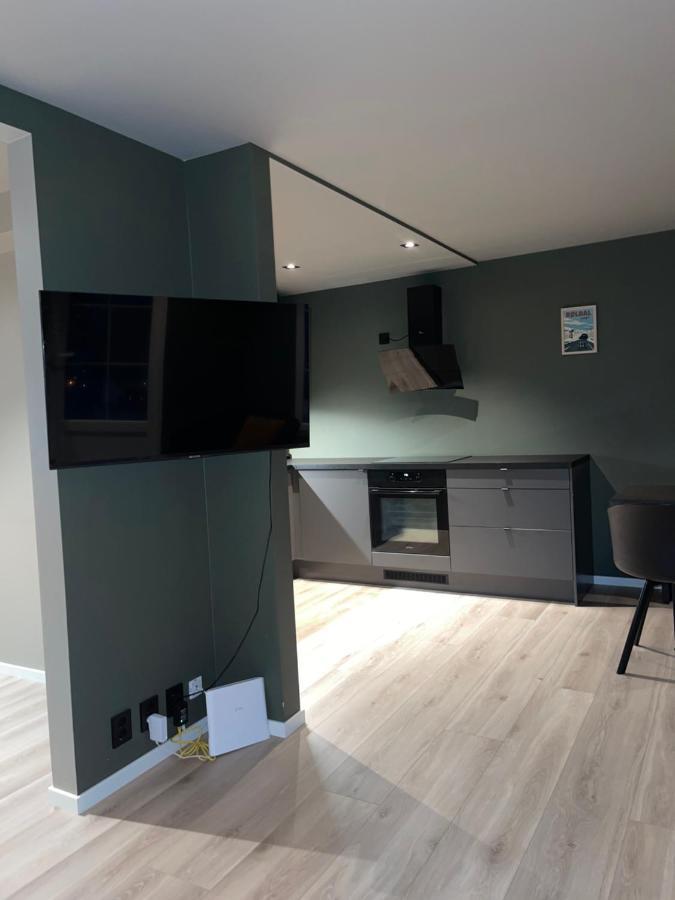 The View Apartment Røldal Екстериор снимка